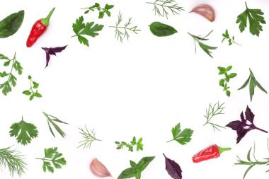 Taze baharat ve otlar izole kopya alanı metniniz için beyaz zemin üzerine çerçeve. Dereotu maydanoz fesleğen. Üstten Görünüm