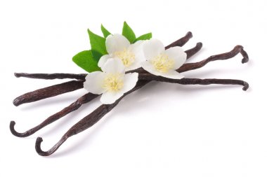 Çiçek ve yaprak beyaz arka plan üzerinde izole ile vanilya çubukları