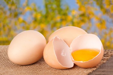 Kırık yumurta sarısı ve bulanık bir bahçe arka plan ile ahşap bir masa üzerinde yumurta kabuğu ile