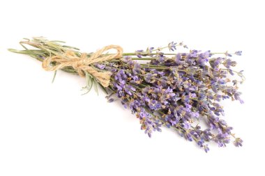 demet izole beyaz arka plan üzerinde lavanta