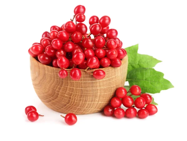 Viburnum-Beeren mit isolierten Blättern auf weißem Hintergrund — Stockfoto