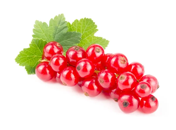 Red currant berries with leaf isolated on white background — Stock Photo, Image