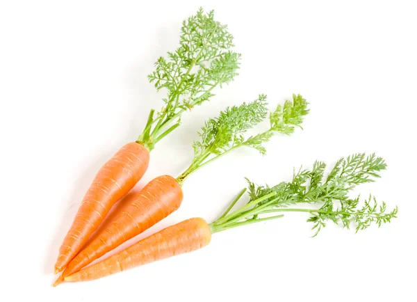 Sayuran wortel dengan daun yang terisolasi pada latar belakang putih — Stok Foto