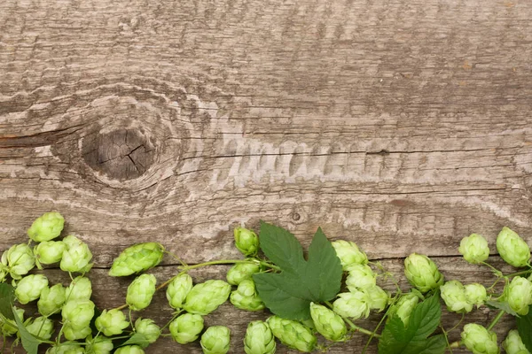 Frische grüne Hopfenzapfen auf altem Holzgrund. Zutat für die Bierproduktion. Ansicht von oben mit Kopierraum für Ihren Text — Stockfoto