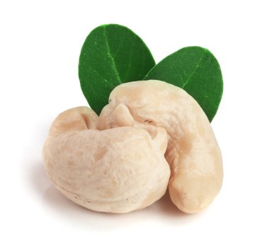 Beyaz arka plan üzerinde izole yaprak ile kaşu fındık. Makro