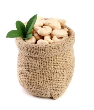 kaju fıstığı yaprak beyaz arka plan üzerinde izole çanta içinde