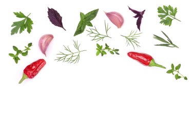 Taze baharat ve otlar kopya alanı metniniz için beyaz zemin üzerine izole. Dereotu maydanoz fesleğen kekik Üstten Görünüm