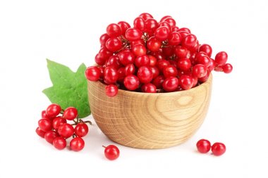 Beyaz arkaplanda yaprakları olan viburnum üzümü