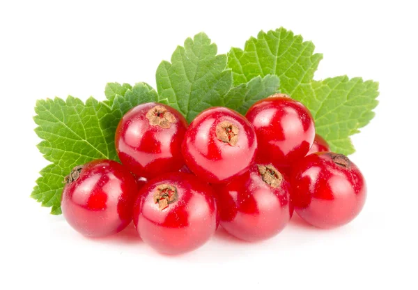 Merah currant berry dengan daun terisolasi pada latar belakang putih — Stok Foto