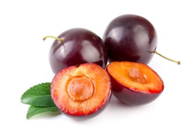 Mor Erik yarısı beyaz arka plan üzerinde izole yaprakları ile sona