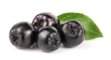 Chokeberry yaprak beyaz arka plan üzerinde izole. Siyah aronia çilek