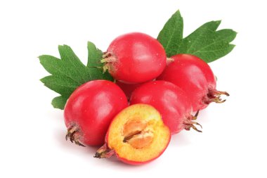 Hawthorn berry izole beyaz arka plan yakın çekim yaprak ile