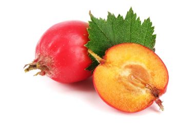 Hawthorn berry izole beyaz arka plan yakın çekim yaprak ile