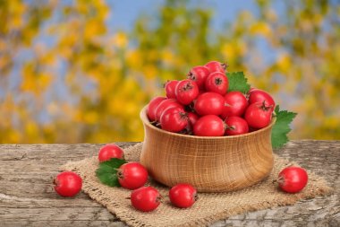 Hawthorn berry yaprak bulanık bir bahçe arka plan ile ahşap masa üzerinde bir kase ile