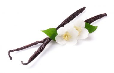 Çiçek ve yaprak beyaz arka plan üzerinde izole ile vanilya çubukları