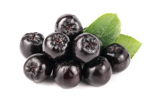 Aronia z liść na białym tle. Aronia czarne jagody — Zdjęcie stockowe