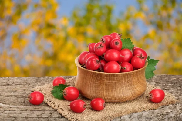 Hawthorn berry z liści w misce na drewnianym stole z niewyraźne tło ogród — Zdjęcie stockowe