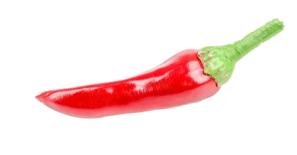 Rode chilipeper geïsoleerd op een witte achtergrond geen schaduw — Stockfoto