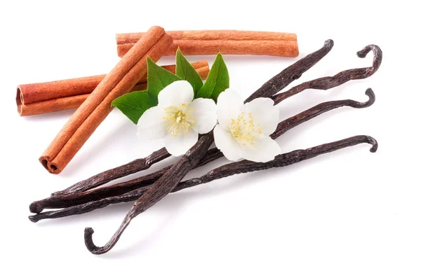 Palitos de vainilla y canela con flor aislada sobre fondo blanco — Foto de Stock