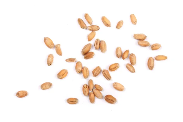 Wheat grains isolated on white background. Top view — Stock Photo, Image