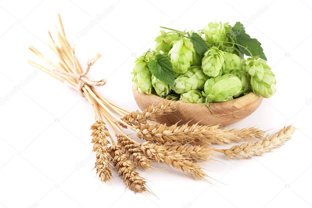 hop cones in a wooden bowl with ears of wheat isolated on white background close-up