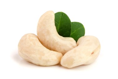 Beyaz arka plan üzerinde izole yaprak ile kaşu fındık. Makro