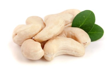 Beyaz arka plan üzerinde izole yaprak ile kaşu fındık. Makro