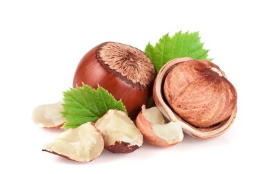 Beyaz arkaplanda yaprakları olan fındıklar