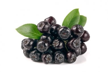 Chokeberry yaprak beyaz arka plan üzerinde izole. Siyah aronia çilek
