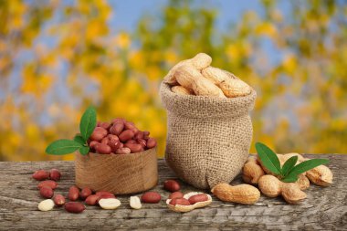 Fıstık çanta üzerinde eski bir bulanık Bahçe arka plan ile ahşap masa üzerinde yaprak ile