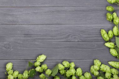 Siyah ahşap zemin üzerine taze yeşil hop külah. Bira üretimi için madde. Metniniz için kopya alanı ile Üstten Görünüm