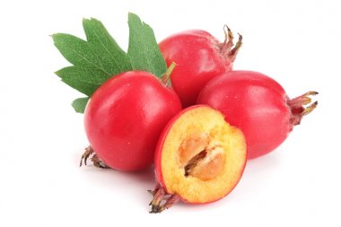 Hawthorn berry izole beyaz arka plan yakın çekim yaprak ile
