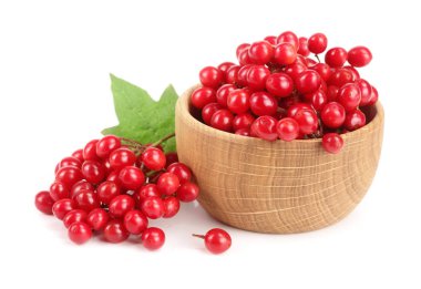 Beyaz arkaplanda yaprakları olan viburnum üzümü