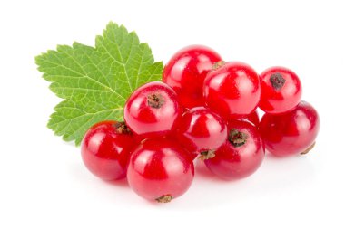 Beyaz arka planda yapraklı kırmızı frenk üzümü.