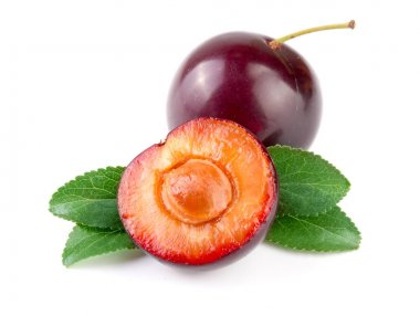 Yarısı yaprakları ile beyaz arka plan üzerinde izole mor Erik bitiş