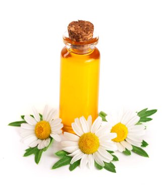 Beyaz arka planda özgün yağ ve taze papatya çiçekleri bulunan şişe.