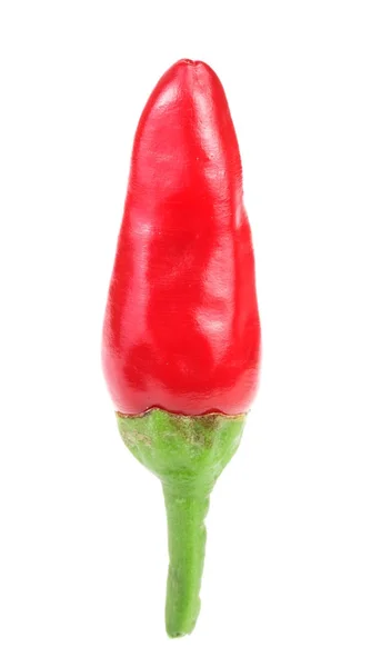 Red chili pepper isolated on a white background no shadow — Stock Photo, Image