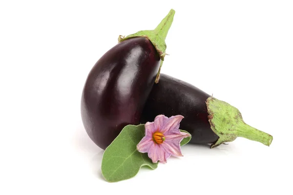 흰 배경에 따로 붙어 있는에 그 소 (Eggplant) 나 오베르 진 채소 — 스톡 사진