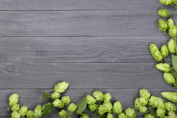 Siyah ahşap zemin üzerine taze yeşil hop külah. Bira üretimi için madde. Metniniz için kopya alanı ile Üstten Görünüm