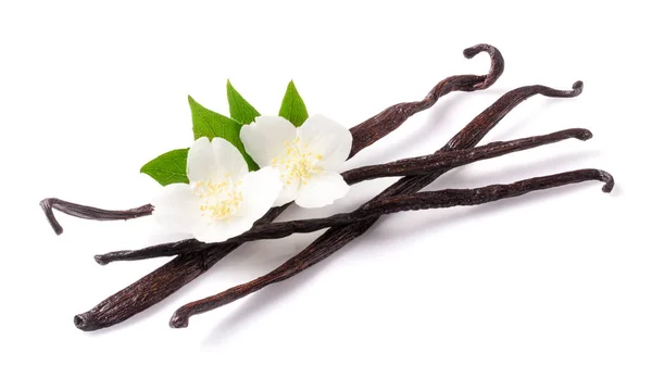 Stik vanili dengan bunga dan daun terisolasi pada latar belakang putih — Stok Foto