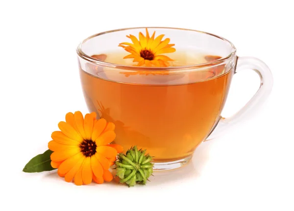 Calendula tea with fresh flowers isolated on white background — Stock Photo, Image