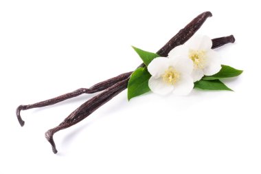 Çiçek ve yaprak beyaz arka plan üzerinde izole ile vanilya çubukları