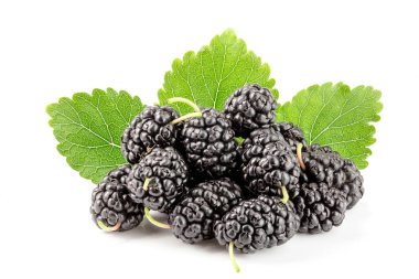 Beyaz arka planda yaprak izole edilmiş dut üzümü