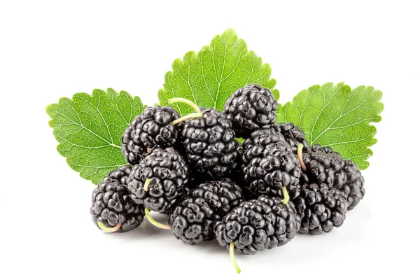 Beyaz arka planda yaprak izole edilmiş dut üzümü