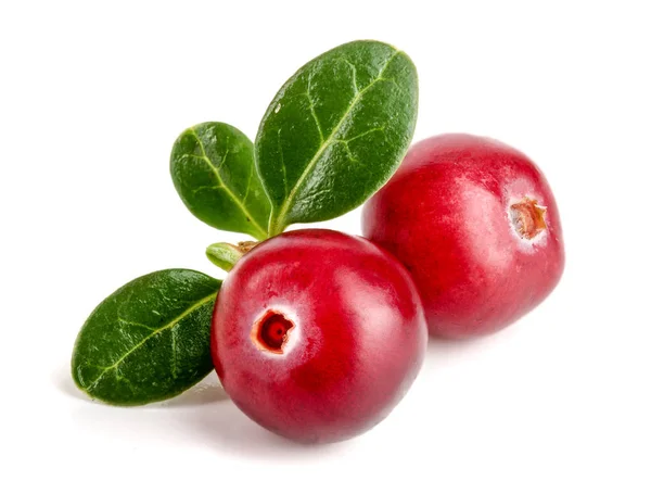 Cranberry dengan daun terisolasi pada latar belakang putih menutup makro — Stok Foto