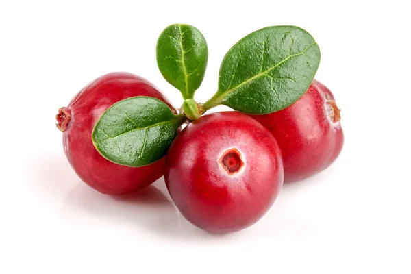 Cranberry with leaf isolated on white background closeup macro — Stock Photo, Image