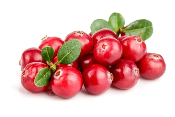 Cranberry with leaf isolated on white background closeup macro — Stock Photo, Image