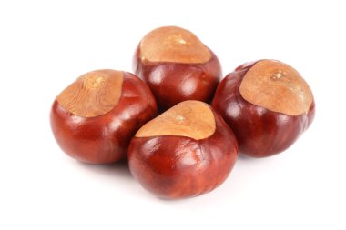 Beyaz arka plan closeup izole kestane