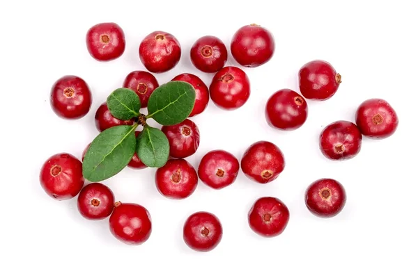 Cranberry com folha isolada no fundo branco close-up vista superior — Fotografia de Stock