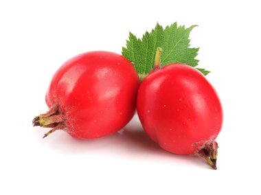 Hawthorn berry izole beyaz arka plan yakın çekim yaprak ile